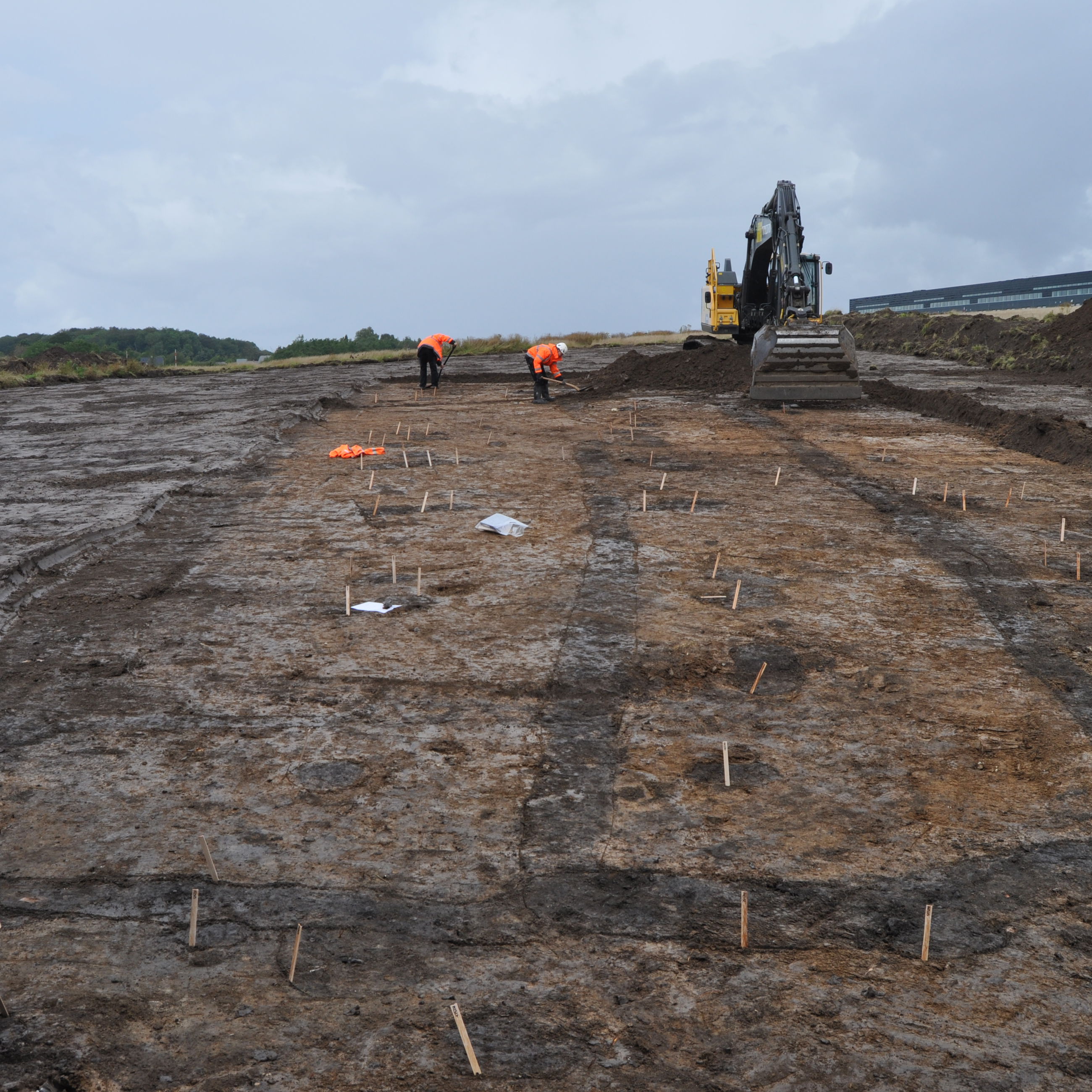 Vikingetidshal ved Erritsø