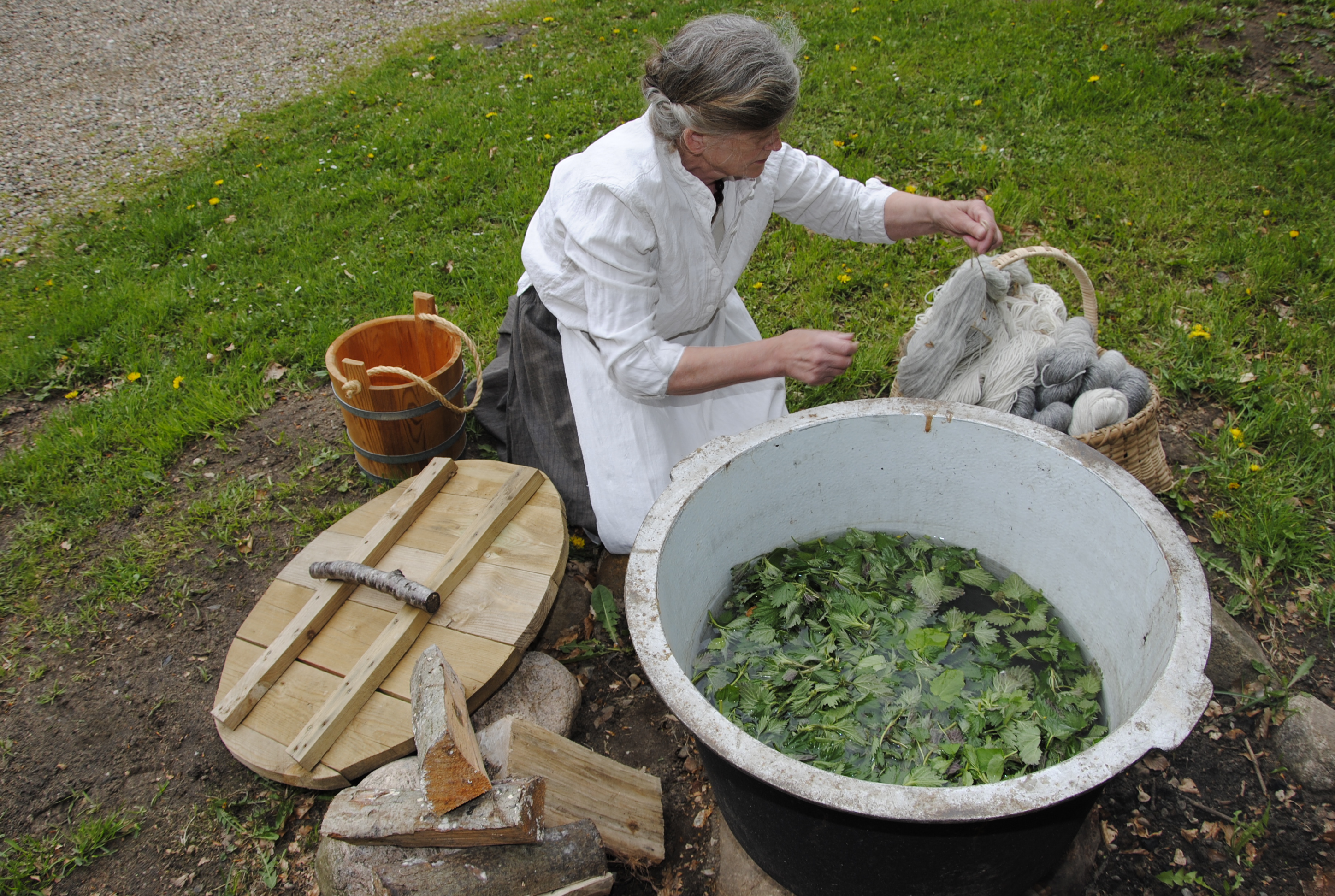 Kvinde plantefarver grønt, kedel over åben ild