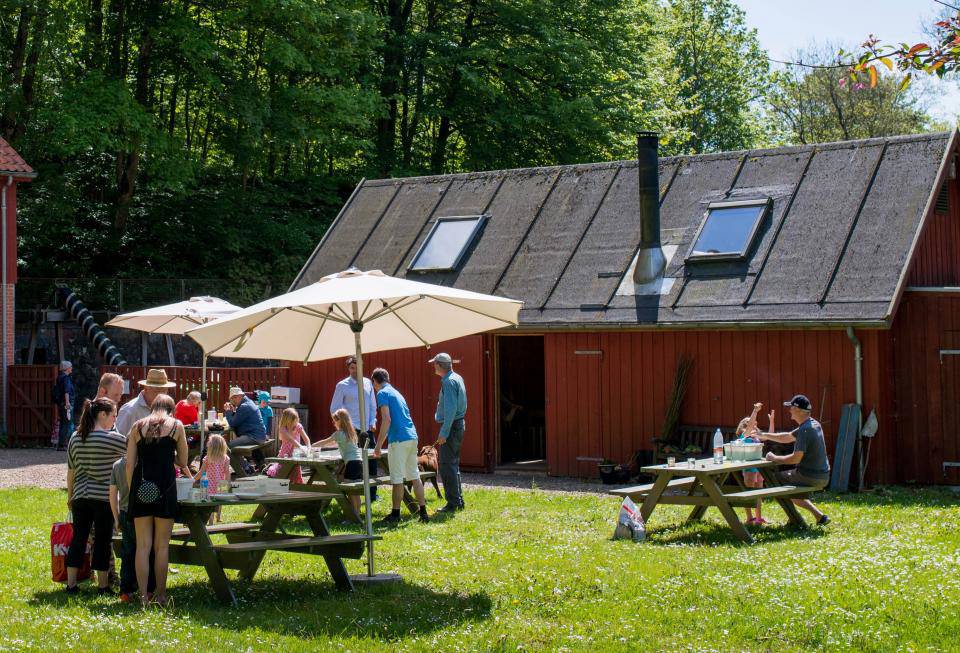 Picknic foran Randbøldalmuseet